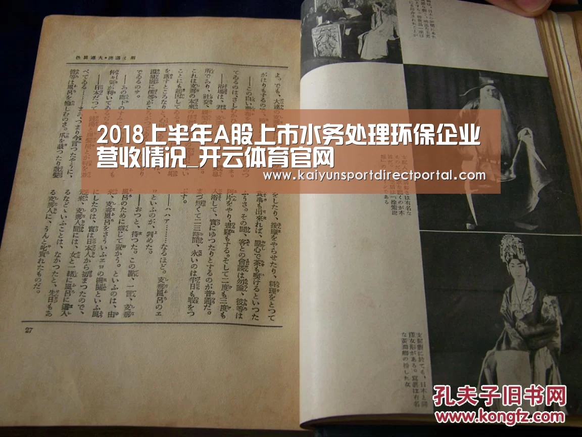 2018上半年A股上市水务处理环保企业营收情况_开云体育官网(图1) 开云体育官网